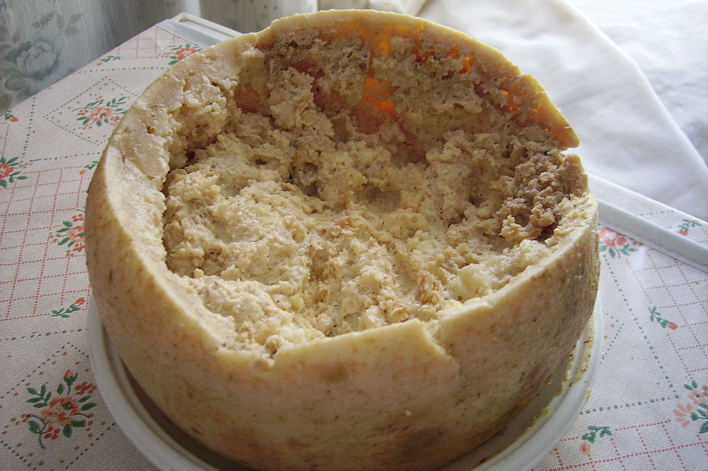 Casu Marzu