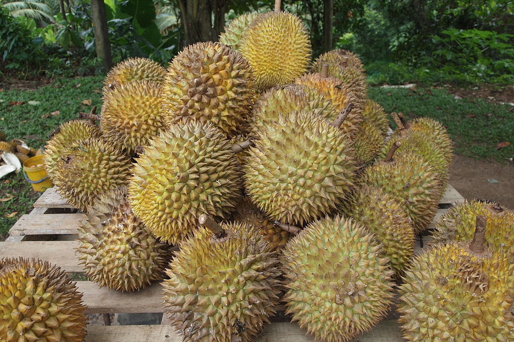 Durian